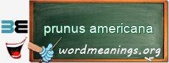 WordMeaning blackboard for prunus americana